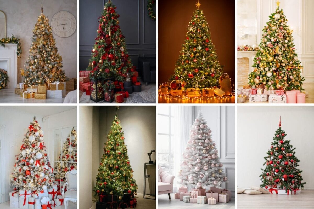 Christmas Tree Inspiration Ideas