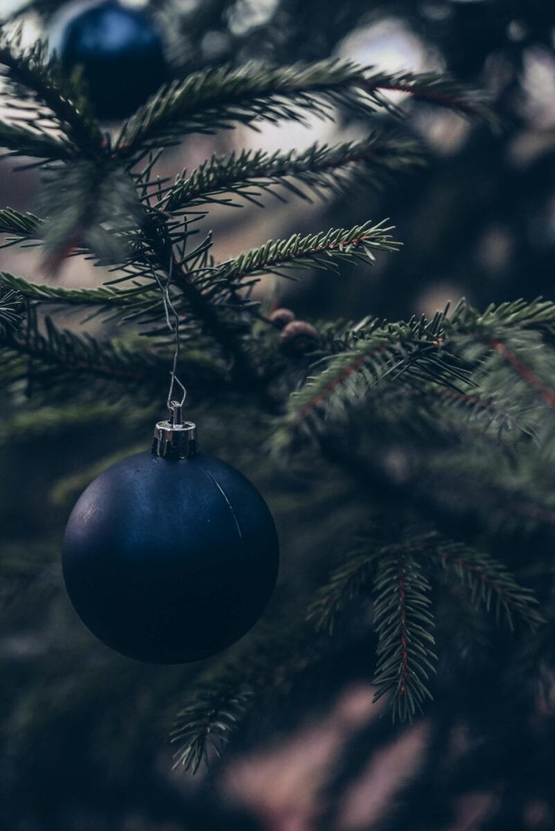 Close-up of a blue Christmas ornament hanging on a pine tree branch, capturing festive holiday spirit.