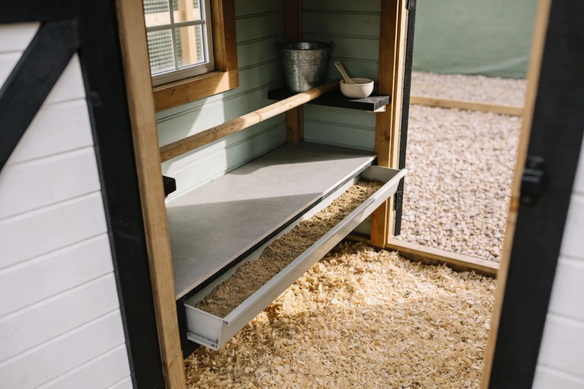 Poop Shelf Chicken Coop Guide: How to Build One + Smart Design Ideas (Easy Cleanup & Healthier Hens)