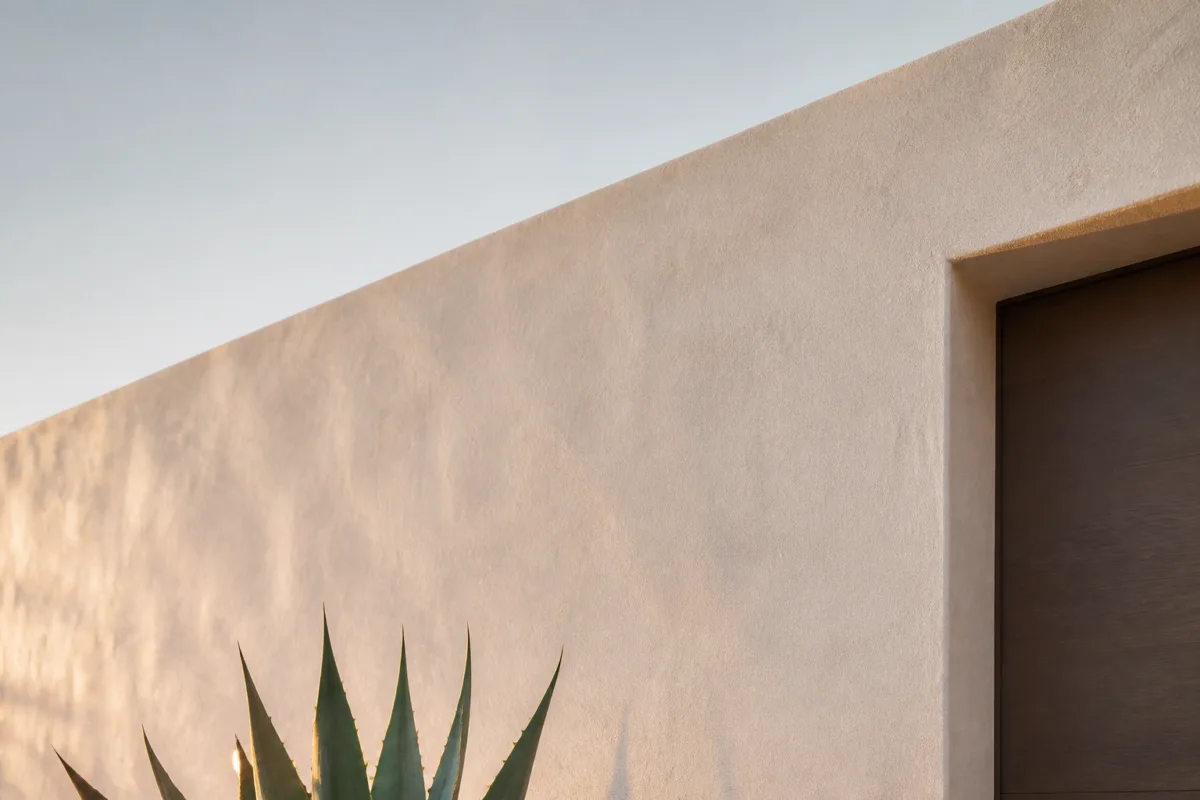 6 Succulent Garden Bed Ideas With Rocks That Need Almost Zero Maintenance