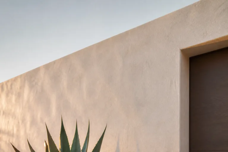 6 Succulent Garden Bed Ideas With Rocks That Need Almost Zero Maintenance
